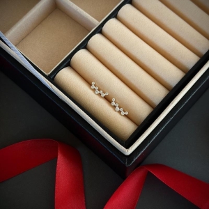 BRINCO ISNP CONSTELACAO