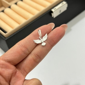 DIVINO ESPIRITO SANTO