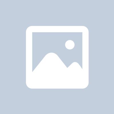 PG CORAÇÃO C/ ZIRC. CRISTAL